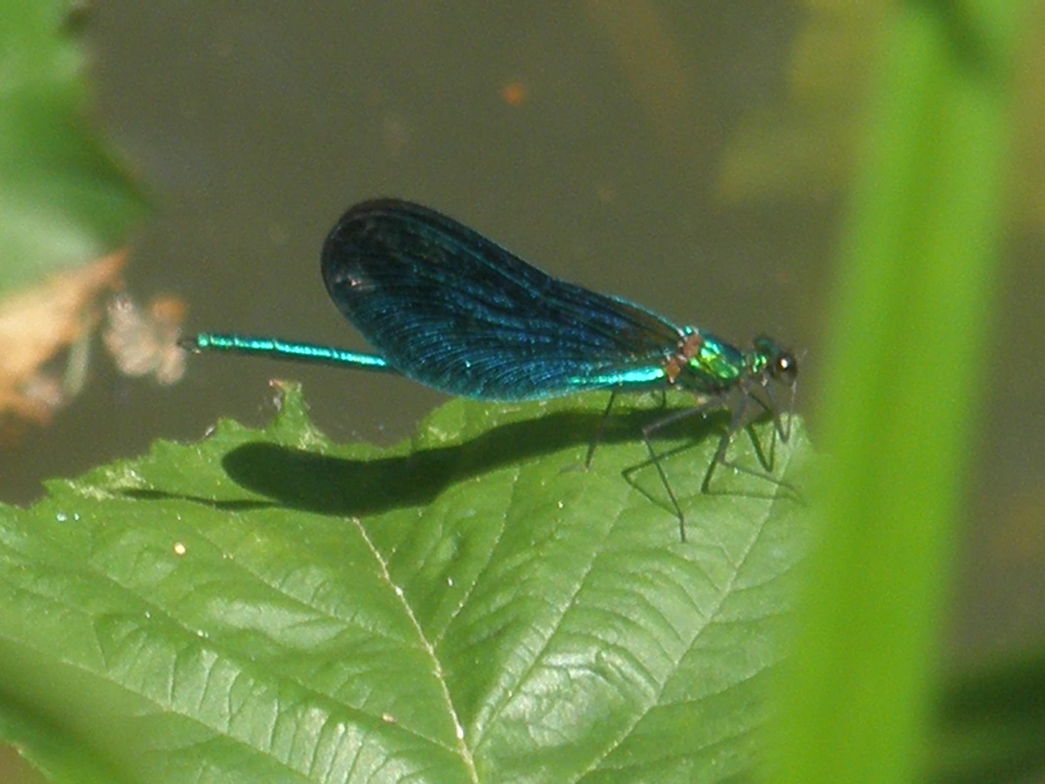 P6240234