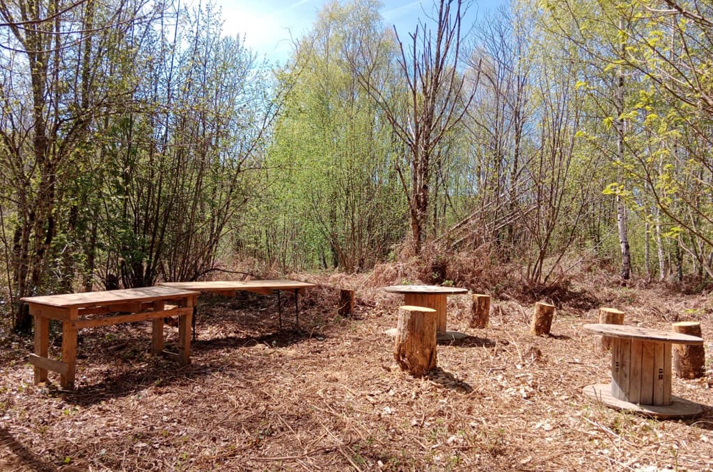 PHOTO ATELIER FORET