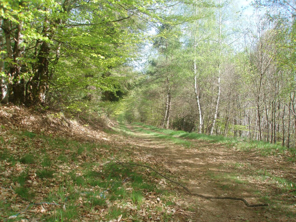 Piste rouge_2