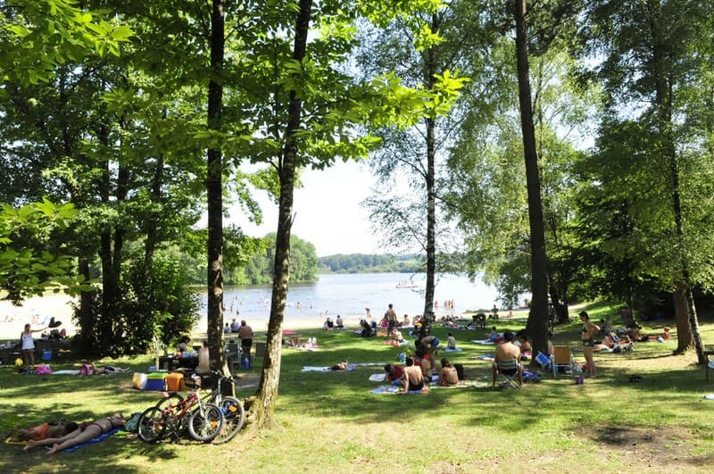 PLAN_EAU_DU_COIROUX_AUBAZINE_arbres_2