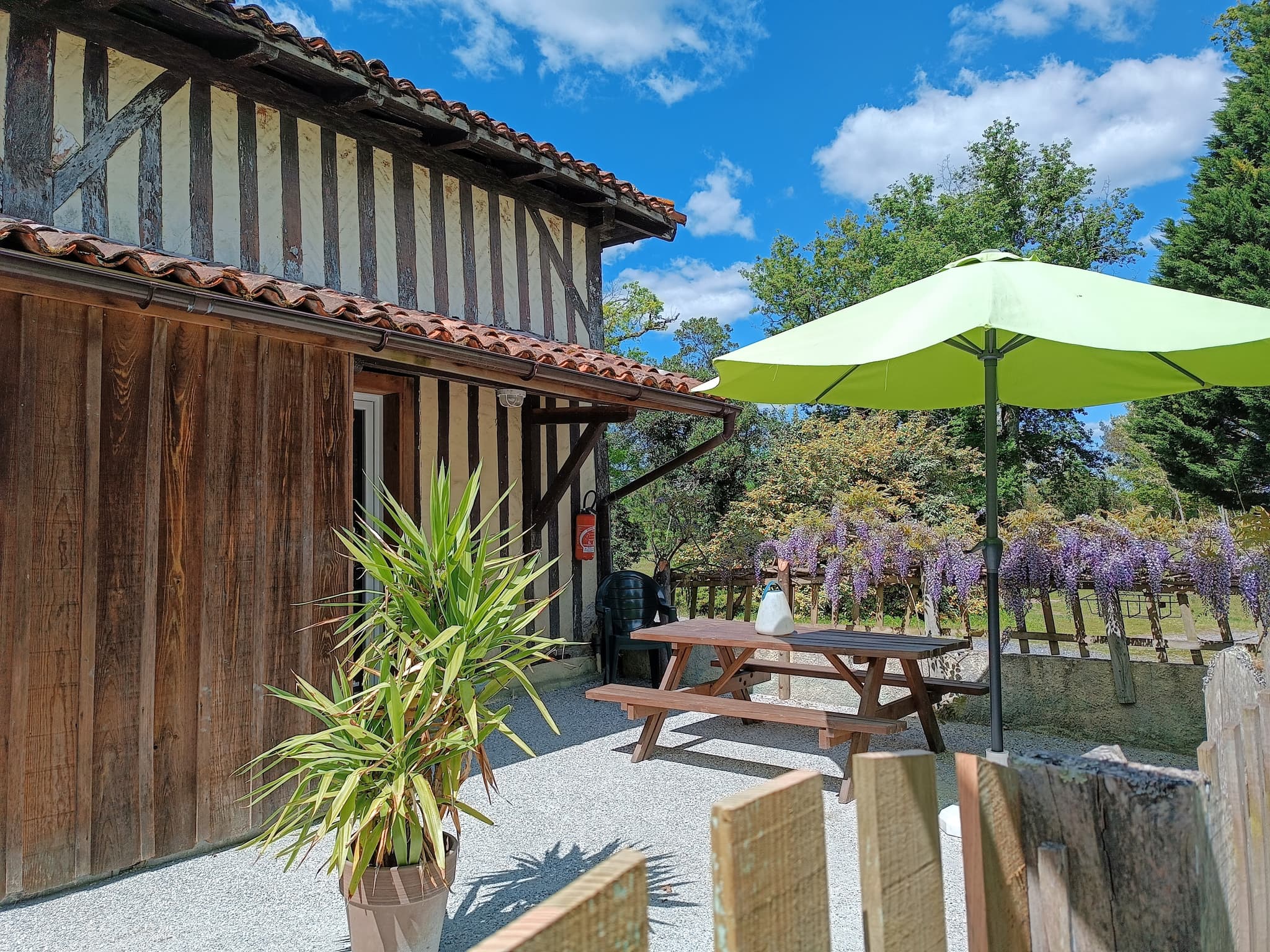 PLATANES TERRASSE