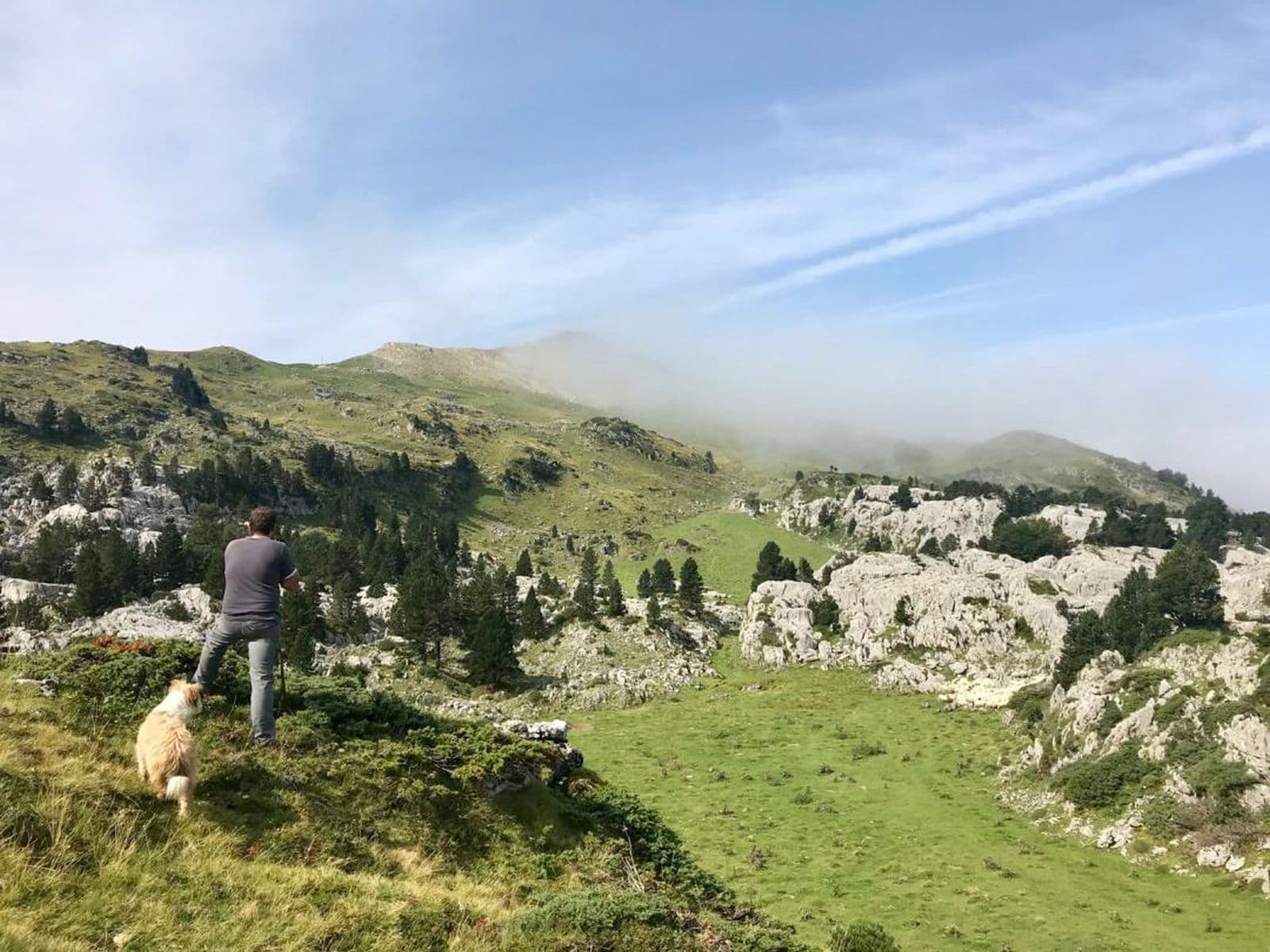 Troupeau en estive à La Pierre Saint-Martin