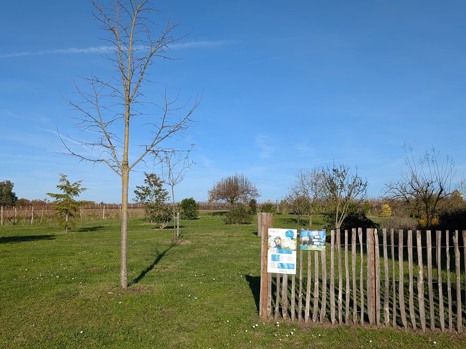Aire de camping-cars Coteaux de Dieulivol