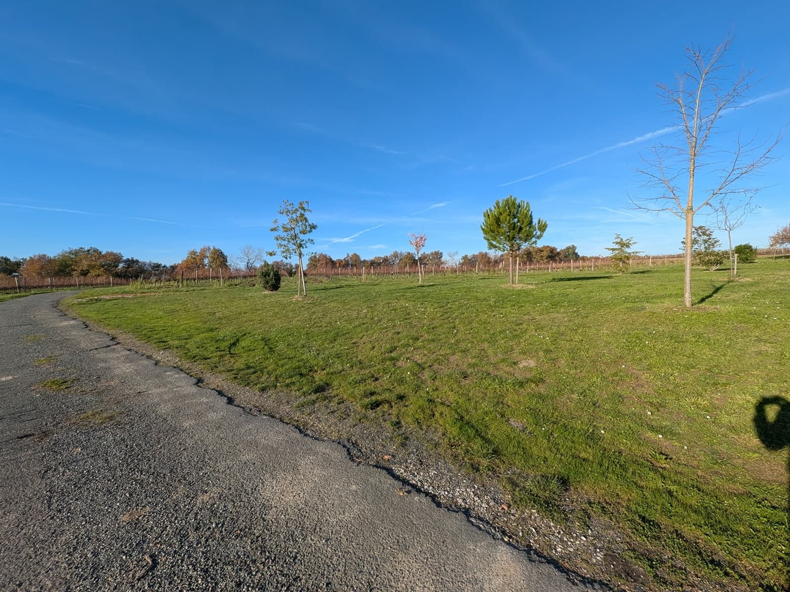 Aire de camping-cars Coteaux de Dieulivol
