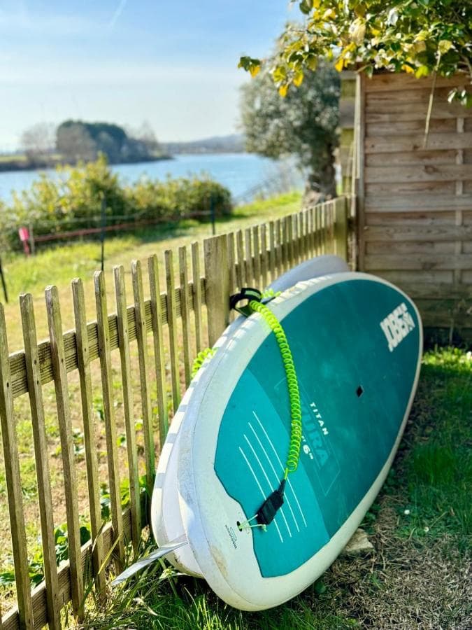 Paddle