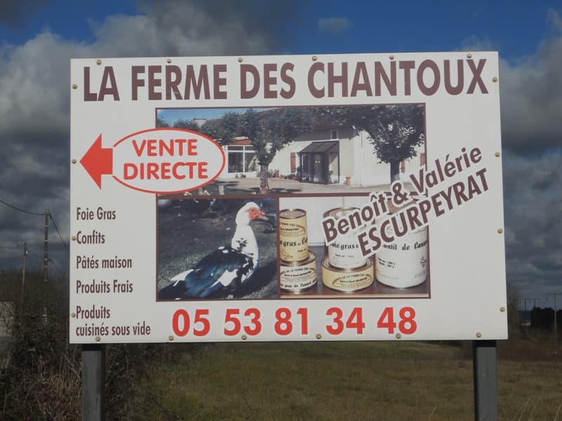 Bienvenue à la Ferme des Chantoux