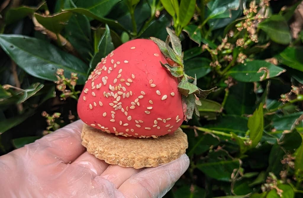 Papilles - Fraise