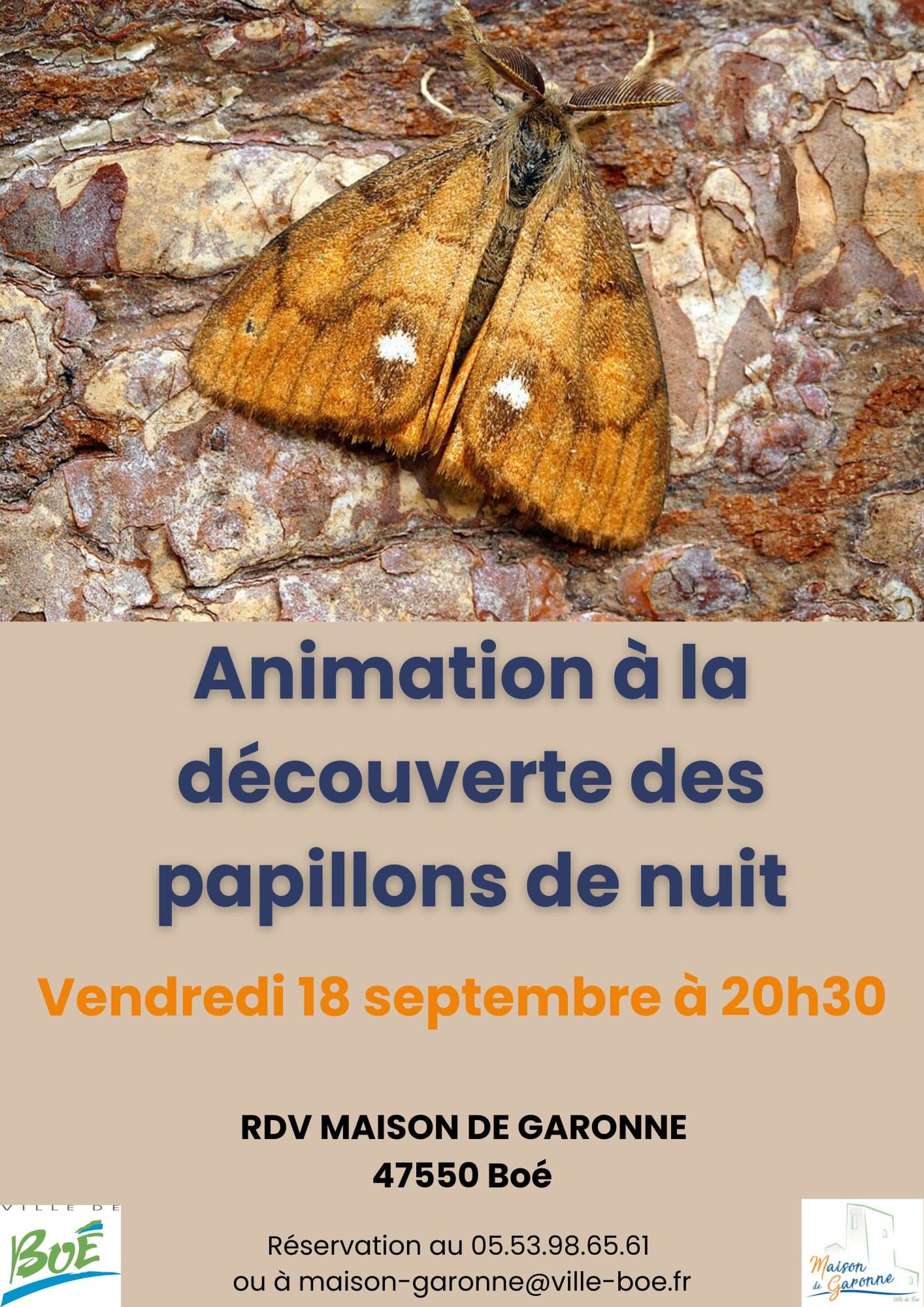 Papillons de nuit 18.09.26