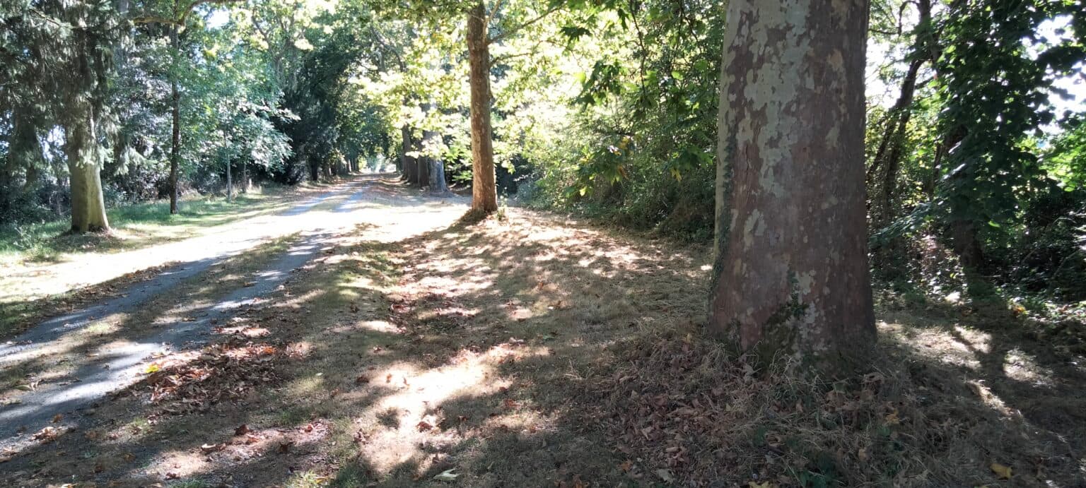 Parc