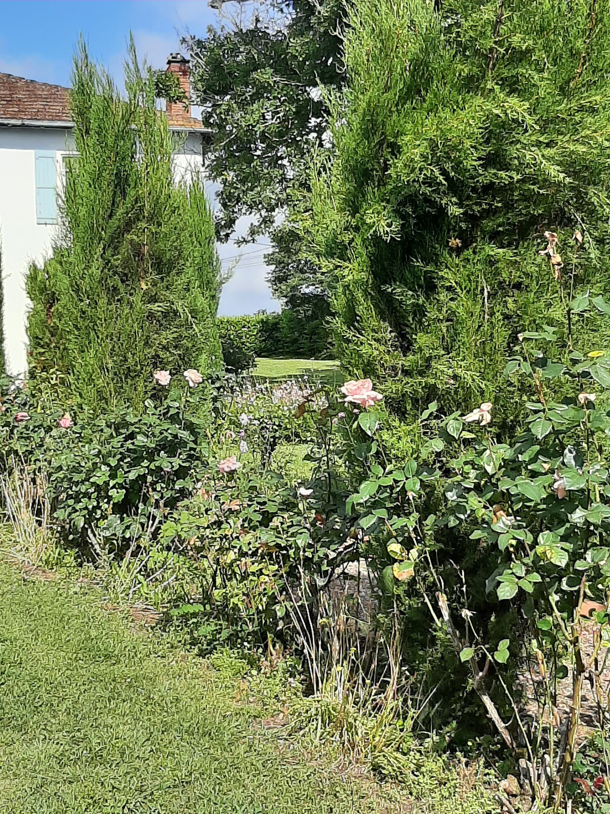 Parc