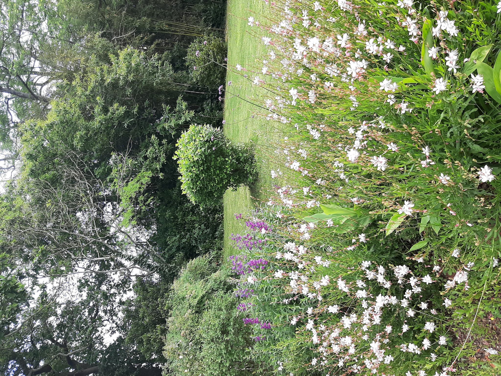 Parc
