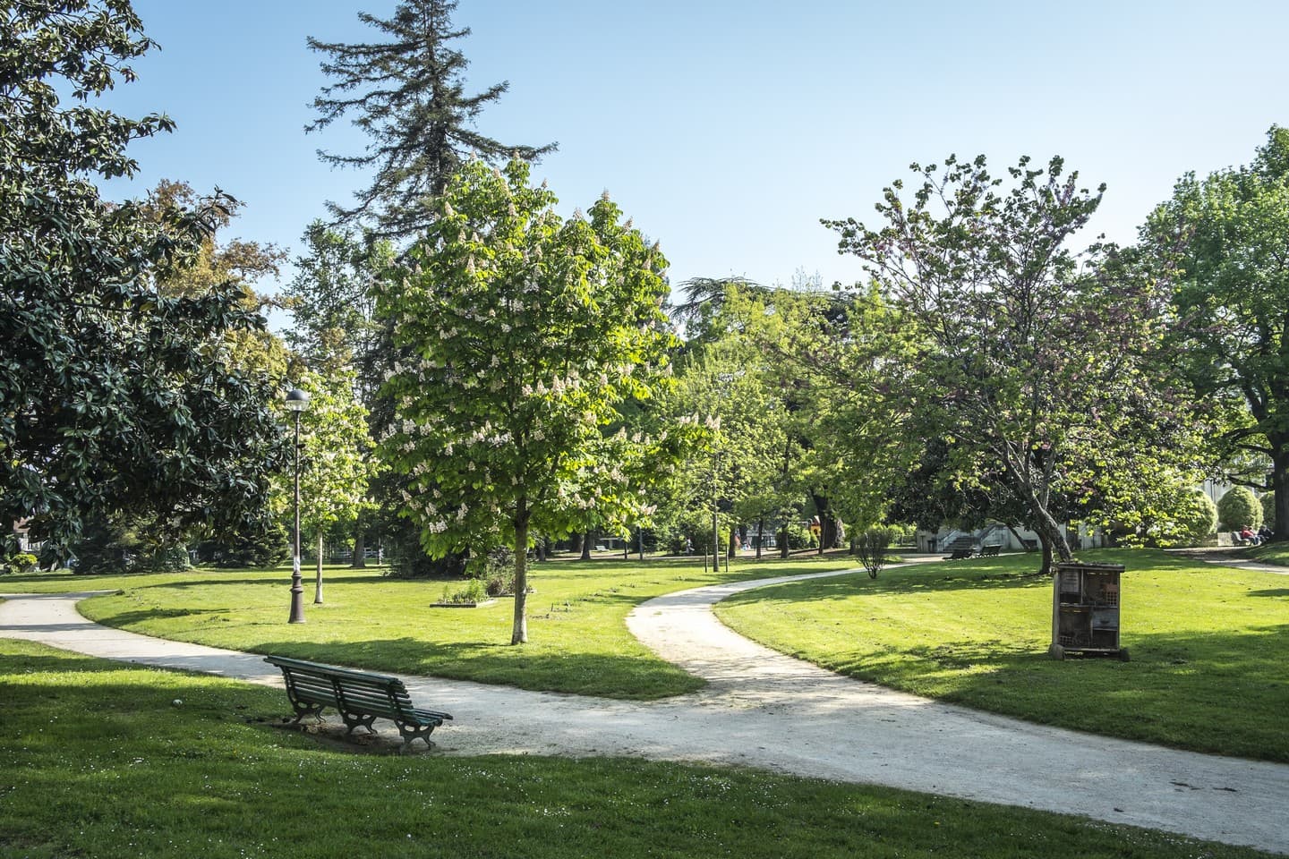 Parc Lawrance - Pau - Allée