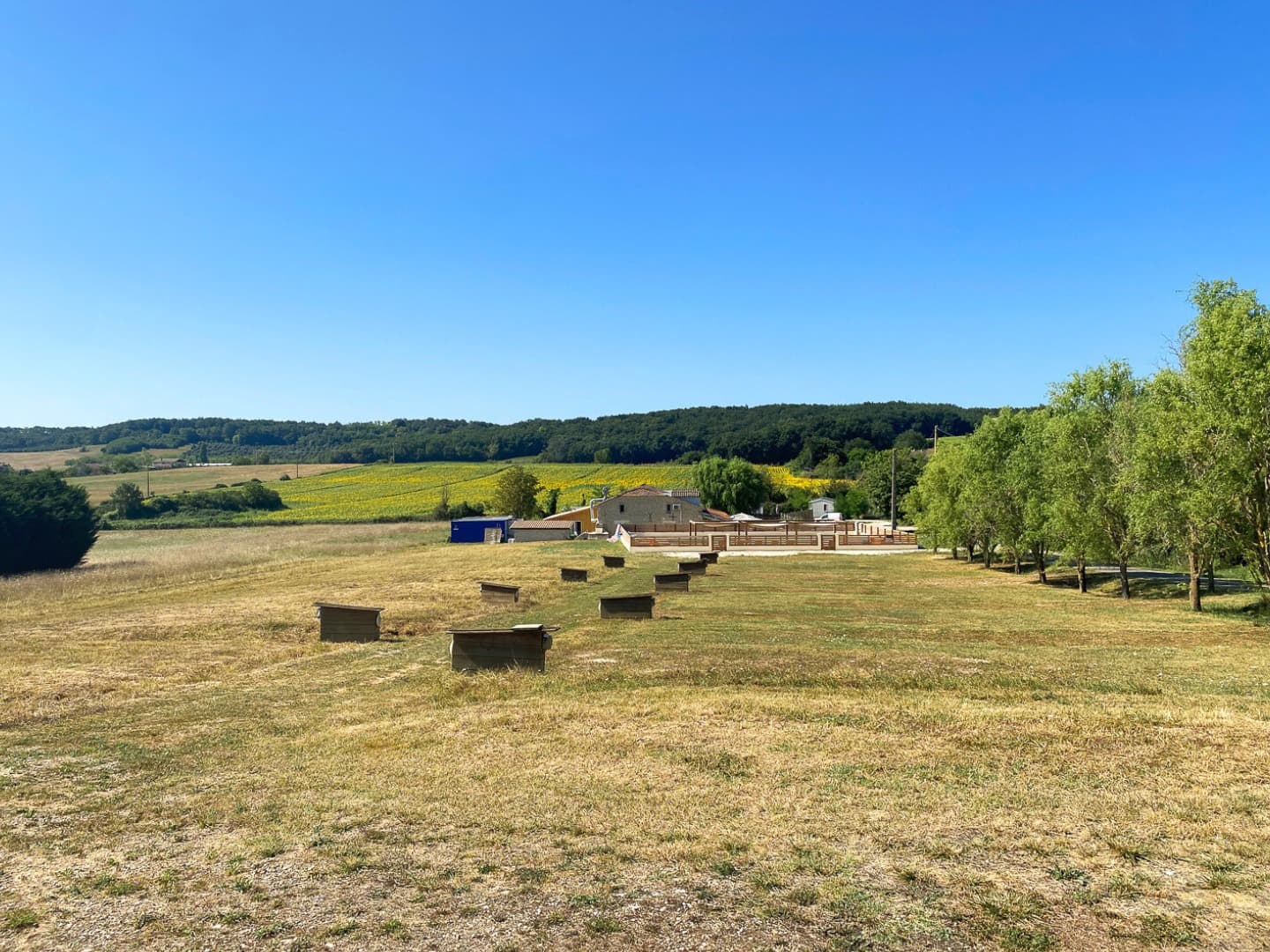 Parc Saint Vincent (1)