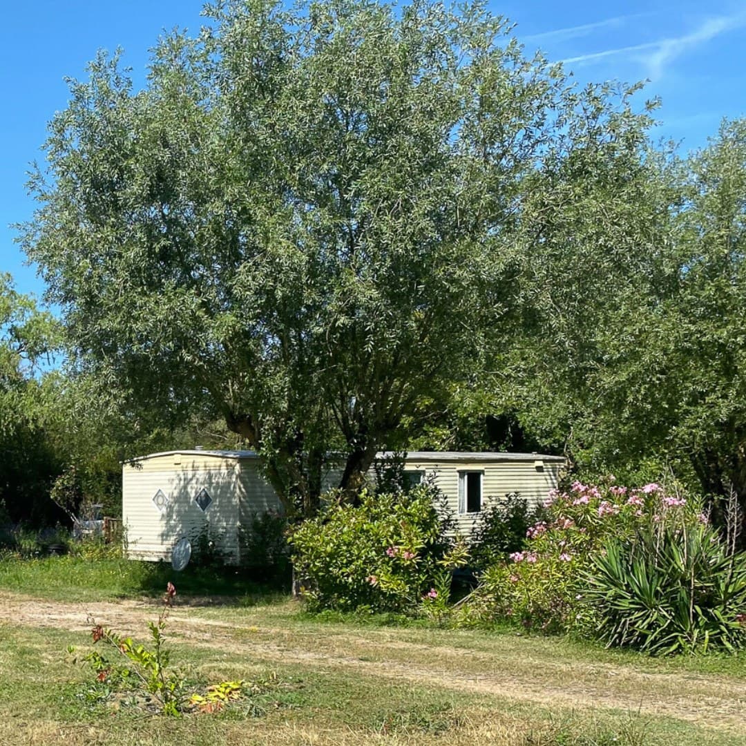 Parc Saint Vincent (6)
