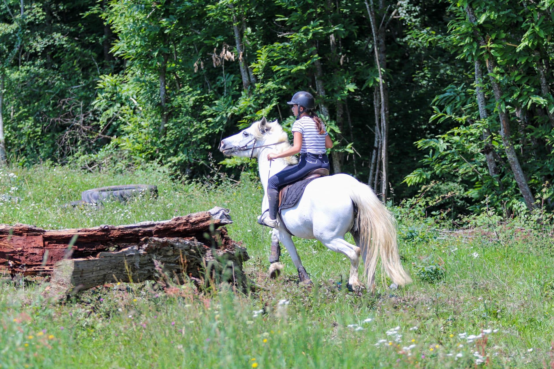 Parc d'aventures2