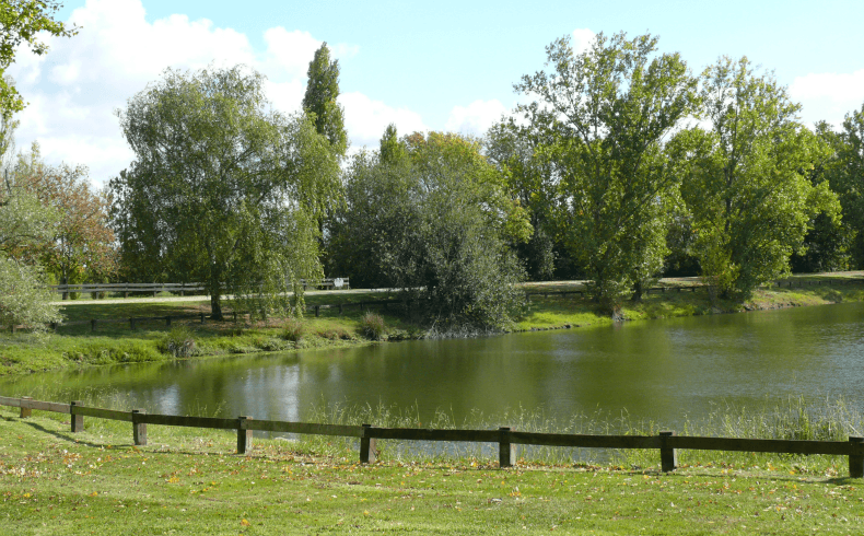 Parc de cantefrene4