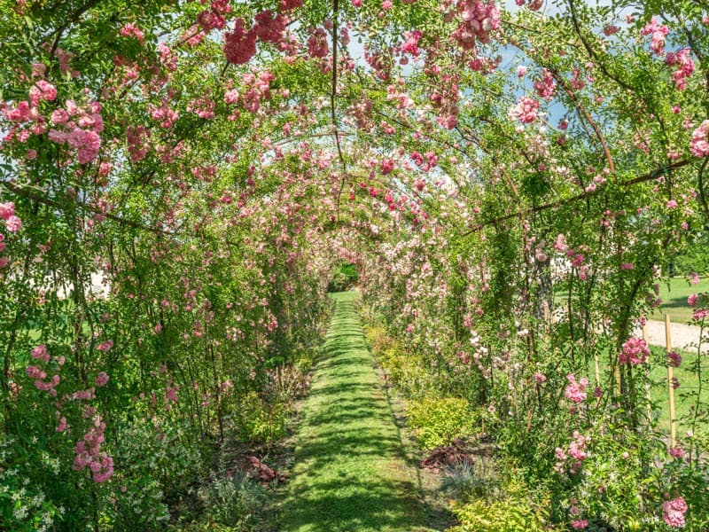 Parc-du-Château-Kirwan10