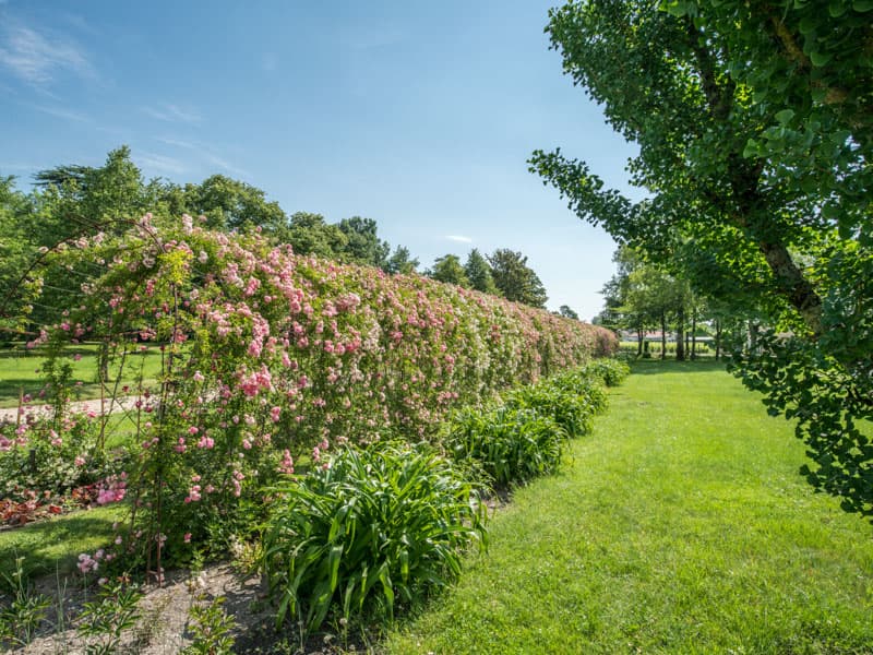 Parc-du-Château-Kirwan13