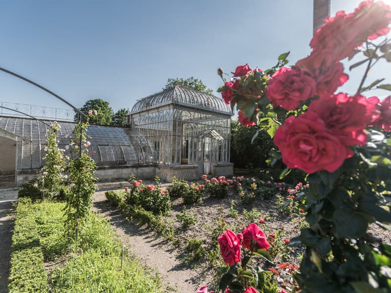 Parc-du-Château-de-Lanessan16