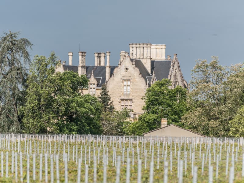 Parc-du-Château-de-Lanessan7