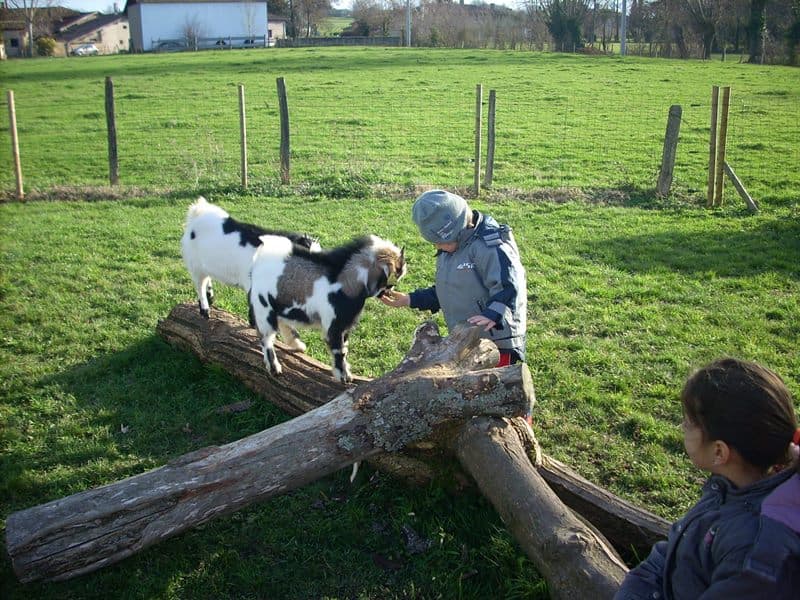 Parc du Griffon