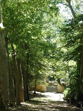 Parc du Moulin des Tours - Barbaste