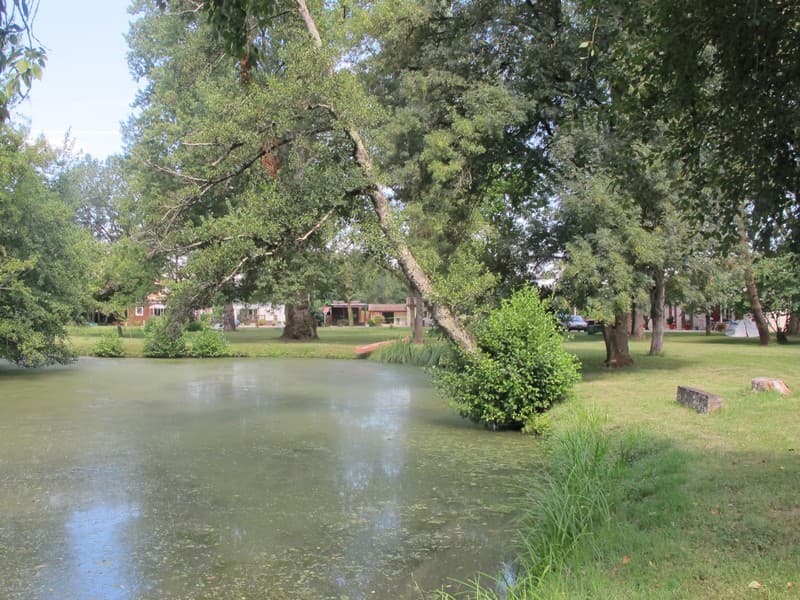 Le Moulin - Etang