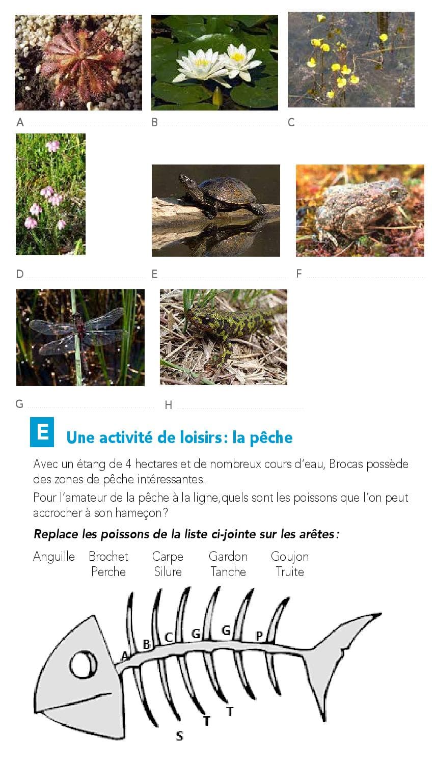 Parcours-Orientation-Brocas-2019-page-017