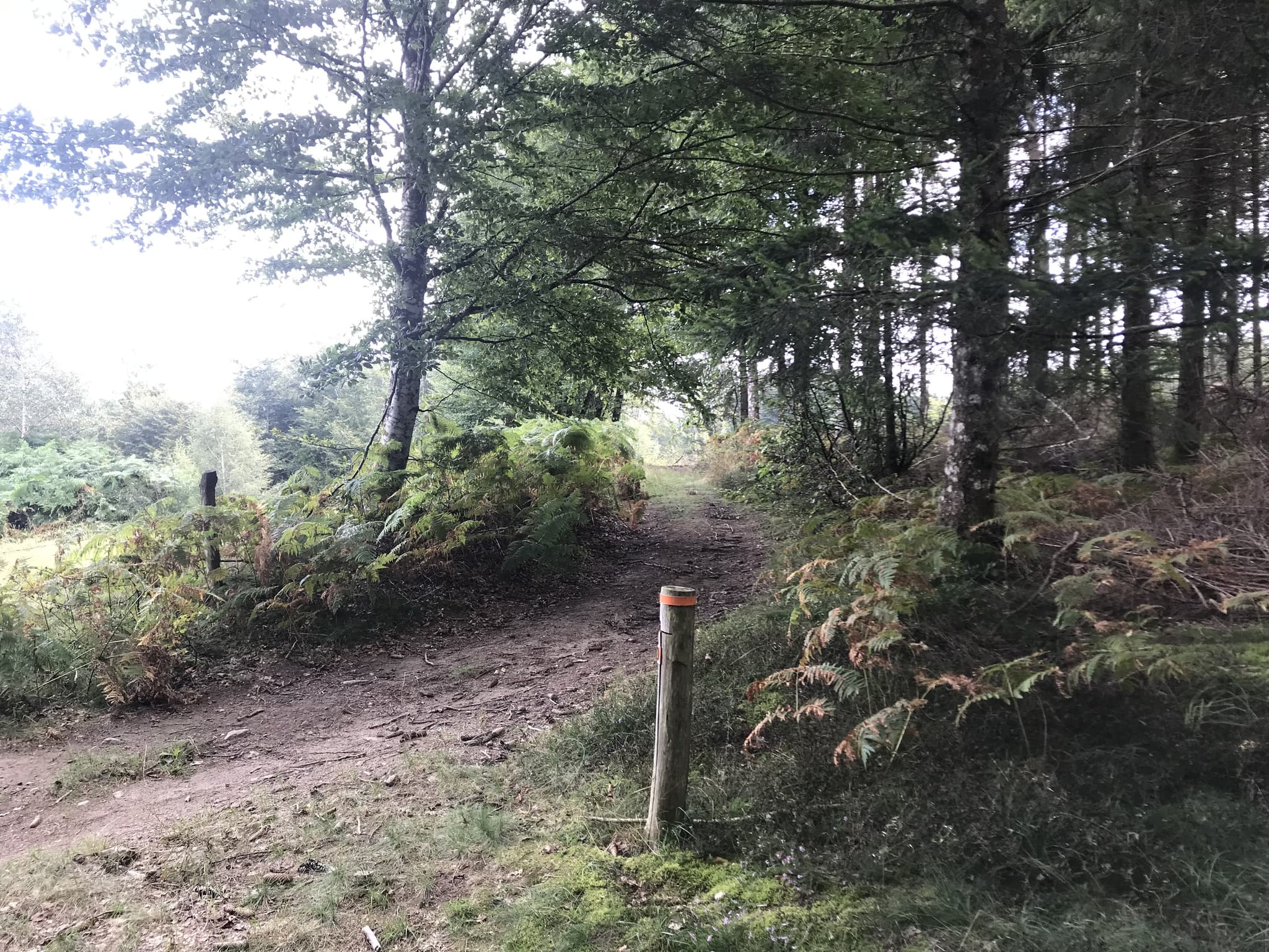 Parcours orientation Forêt de Mirambel