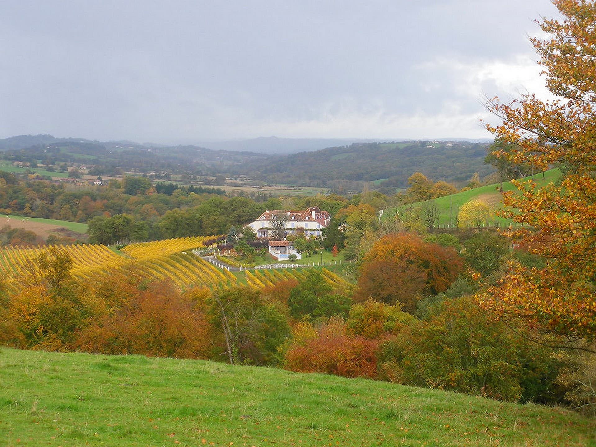 Paysage-20