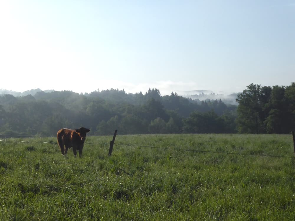 Paysage