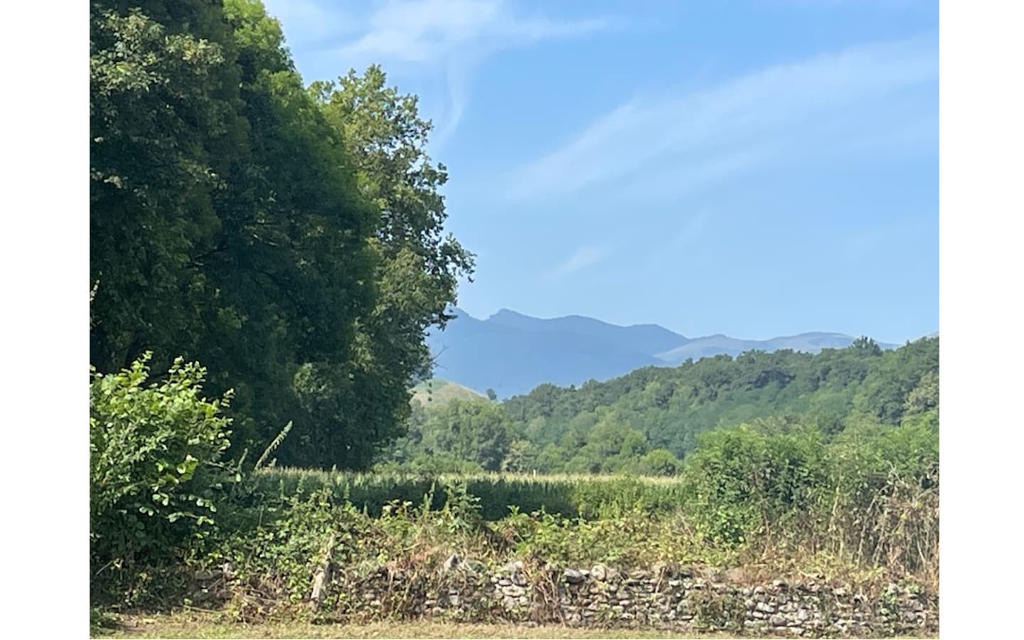 Paysage