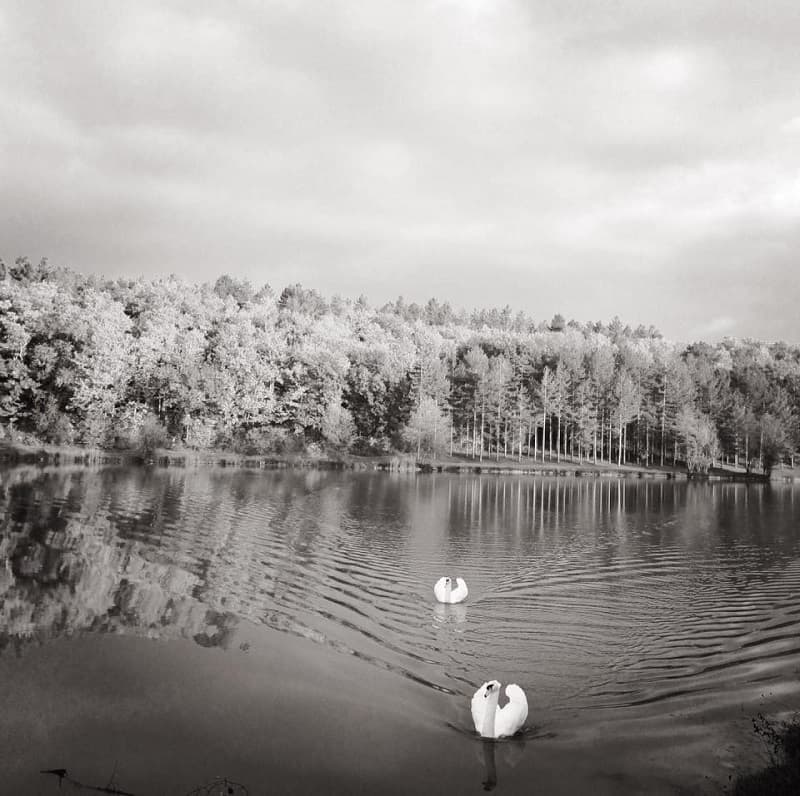 PcR-miramont-lac-nb
