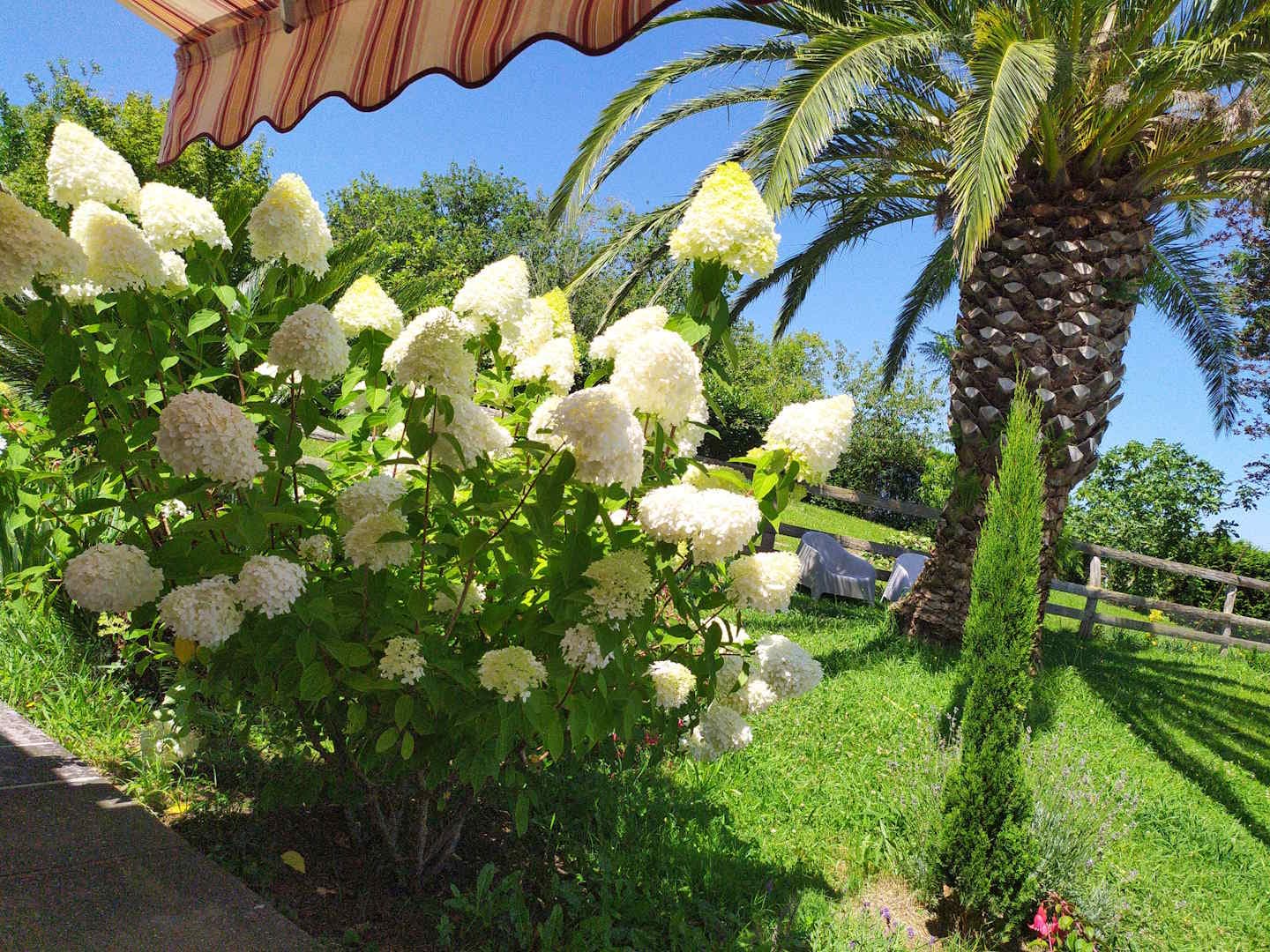 Penaud - Fleurs