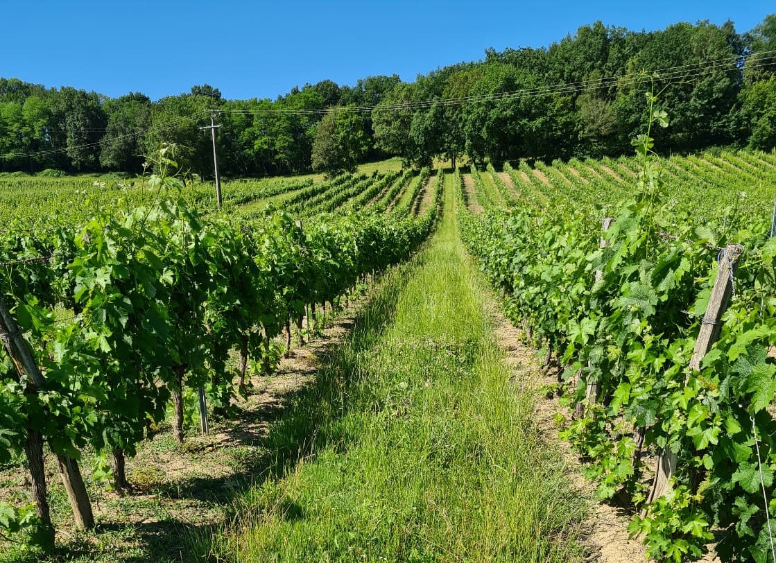 Petit Loubès Lagroye Loubès réduit