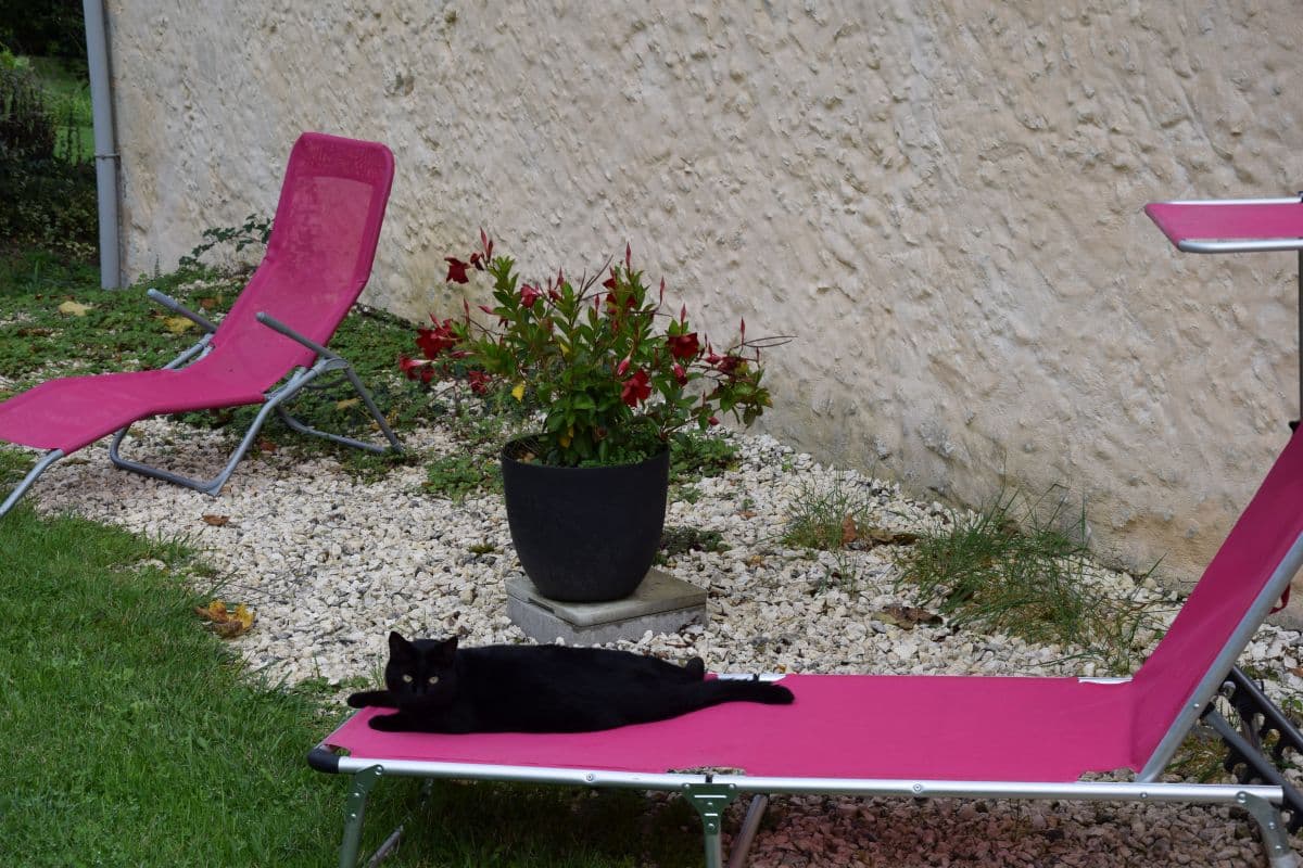 Peyramier-Nature-jardin (14)