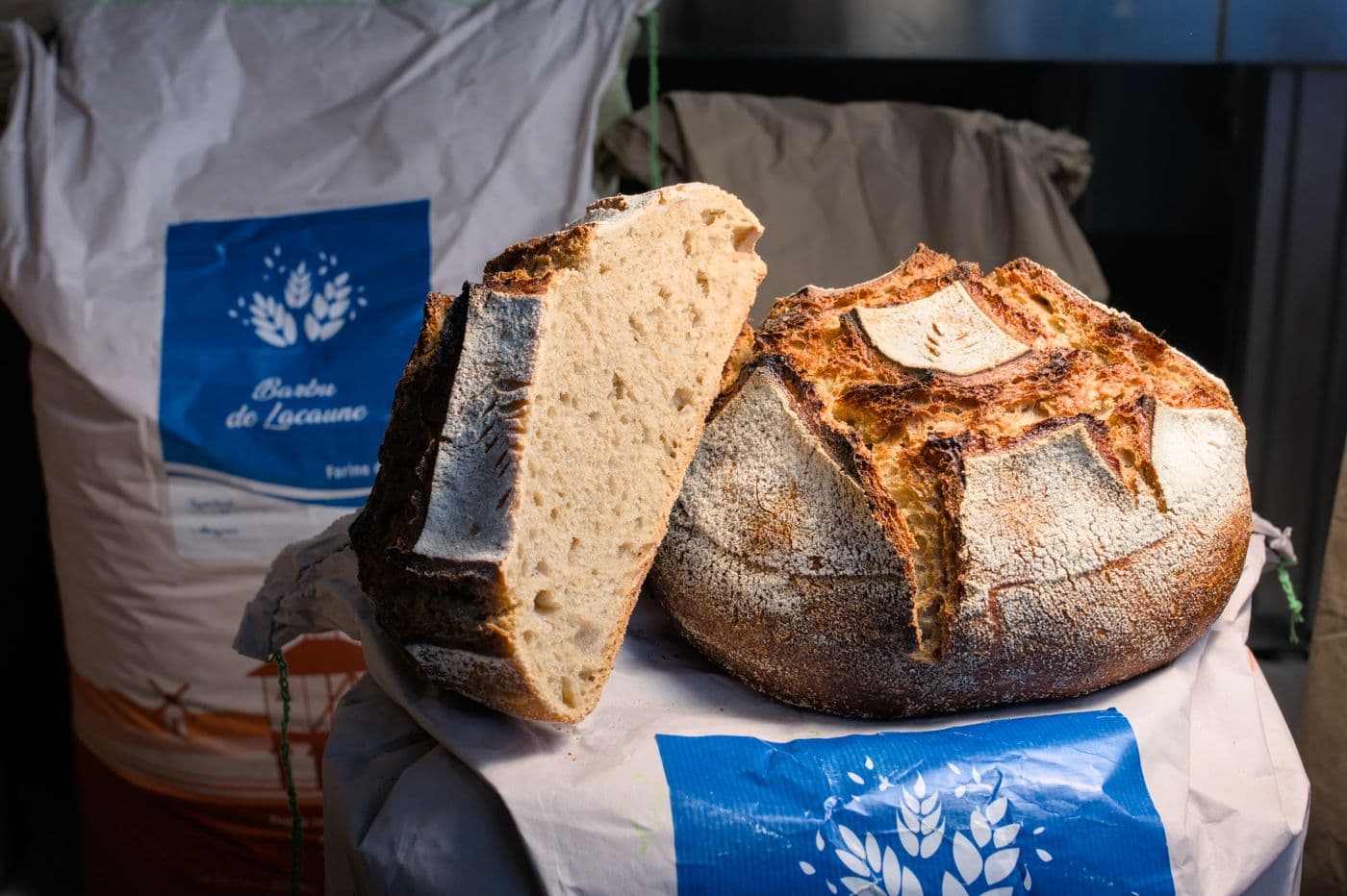 Barbu de Lacaune - Le Pain d'Ici à Oloron Sainte-Marie