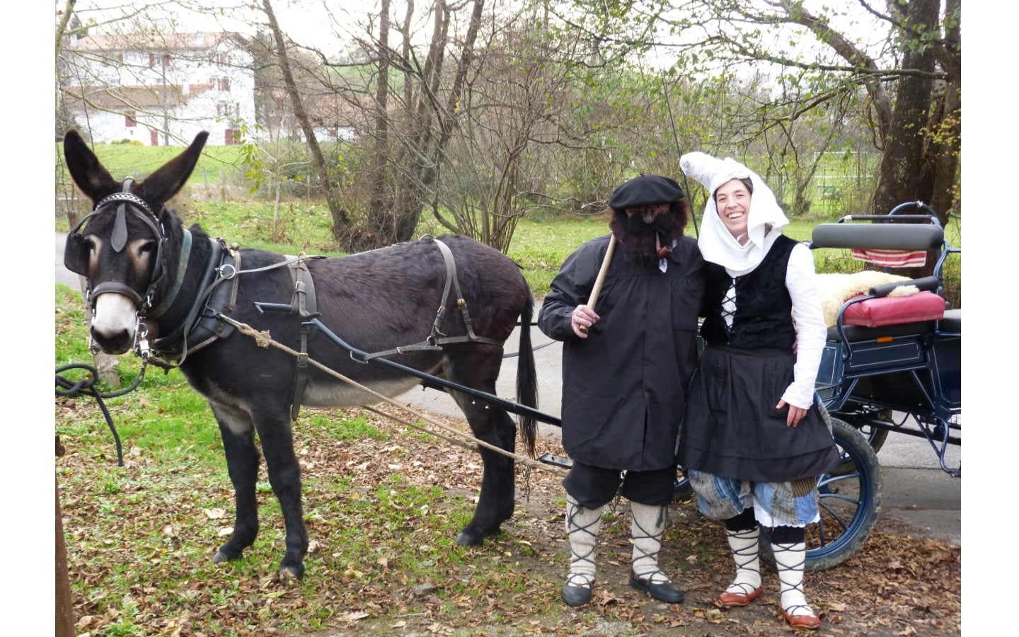 L'âne ta lan