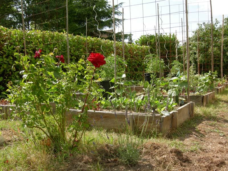 Photo jardin2