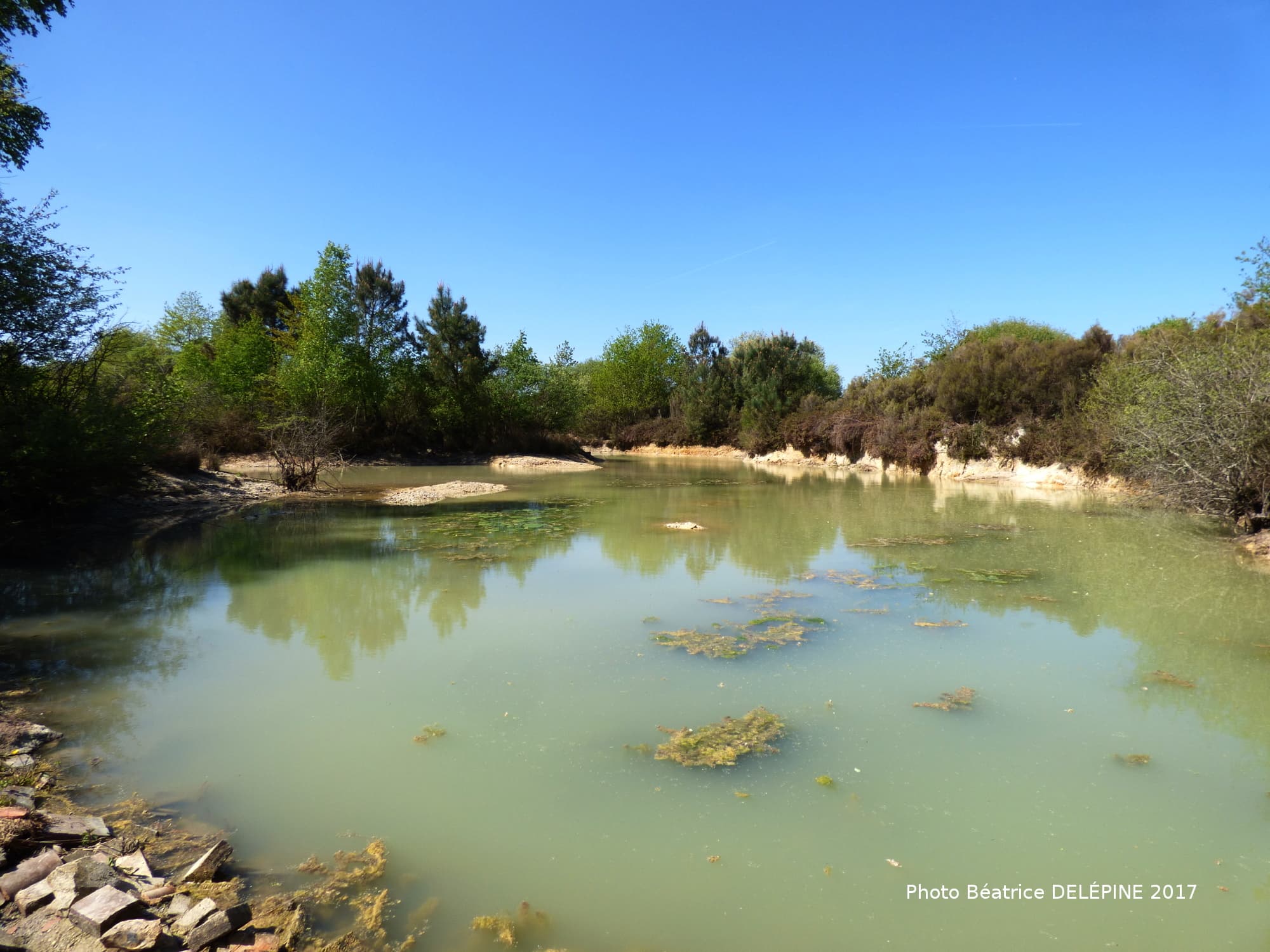 Photos-Bea-des-Landes-de-l-Hopiteau--3-