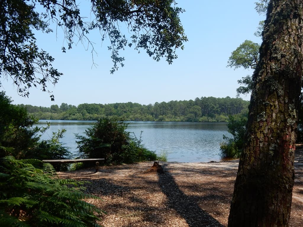 Etang de Moliets_Landes Atlantique Sud