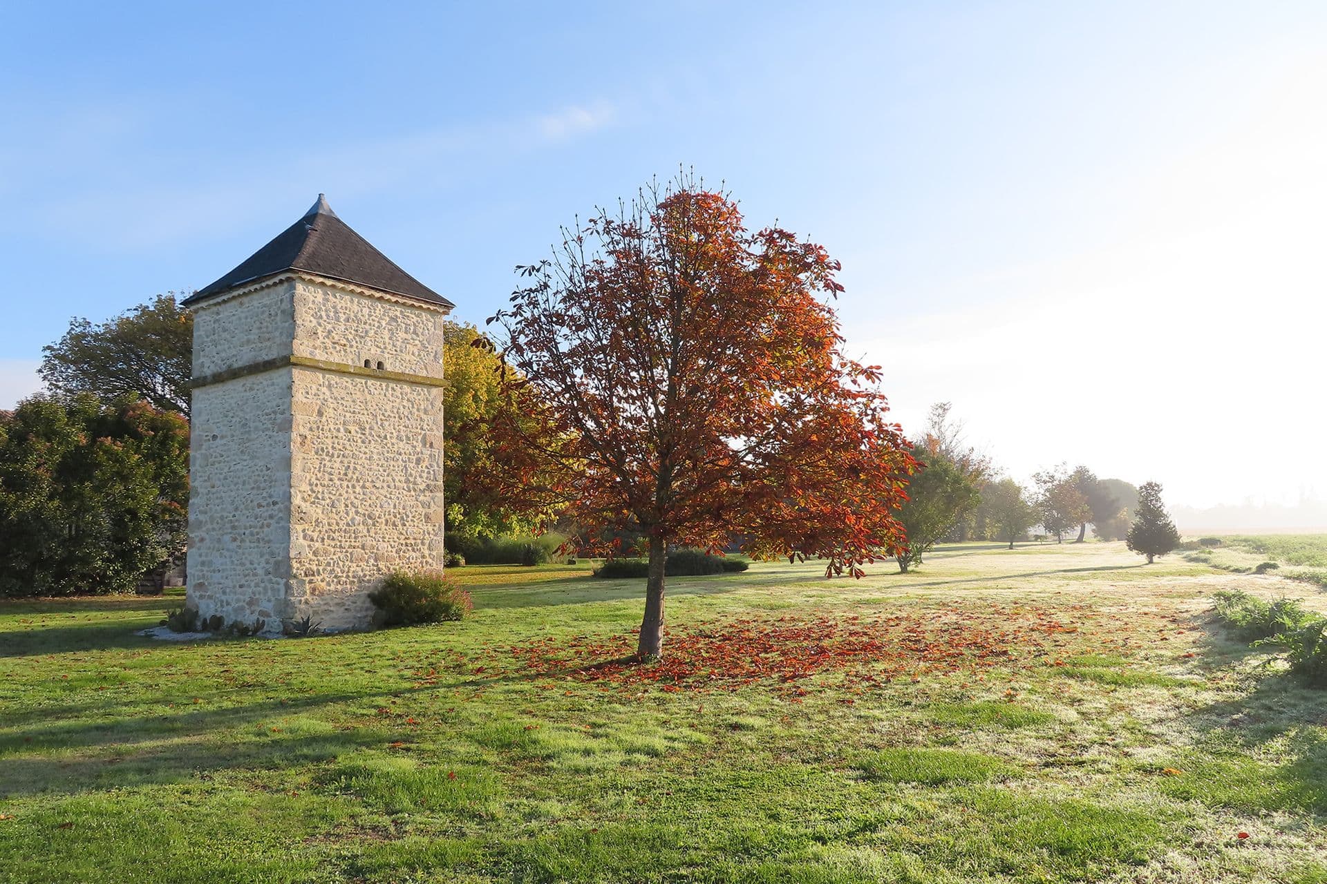 château Pierre de Montignac 2