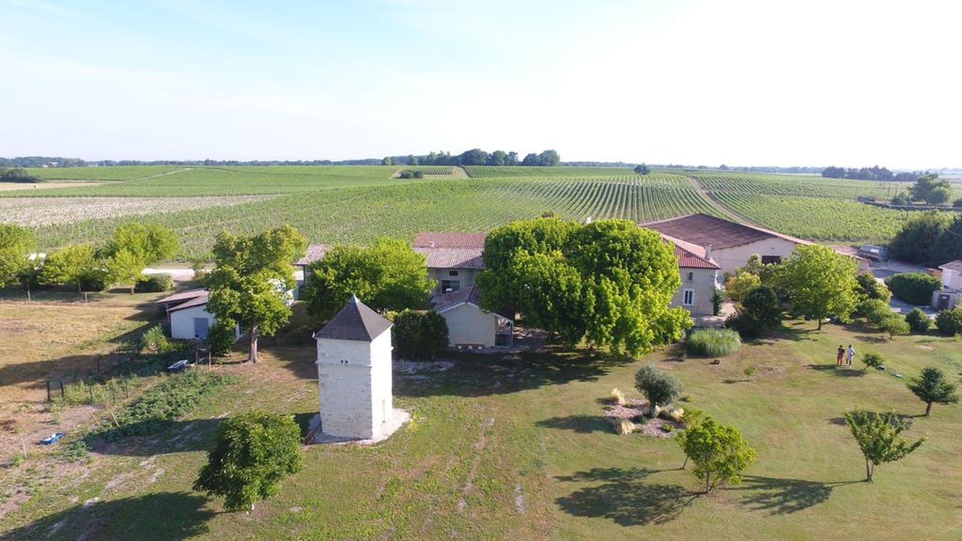 château Pierre de Montignac 1
