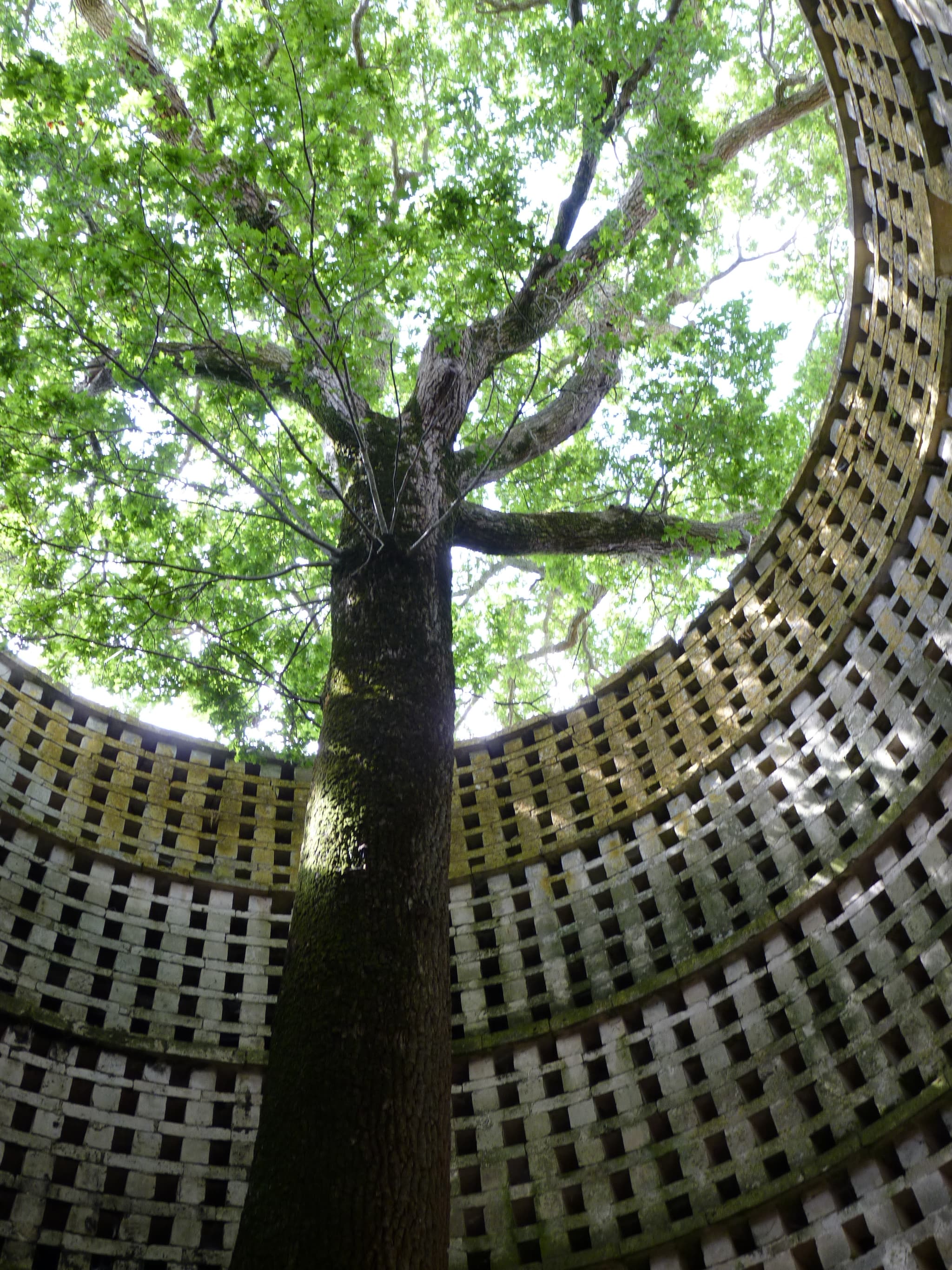 Pigeonnier-interieur