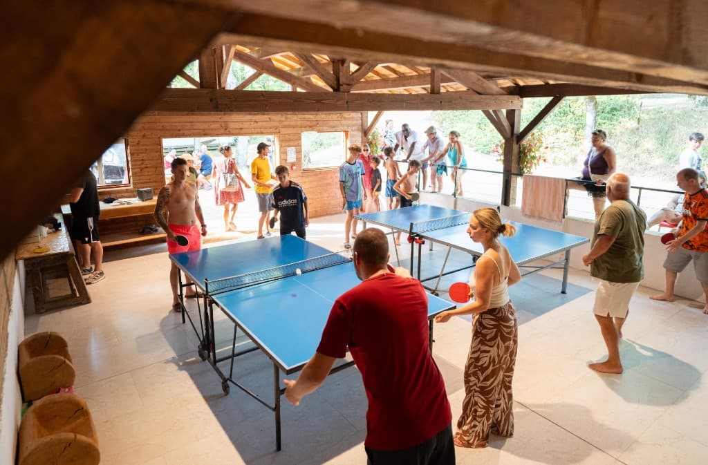 Ping-Pong---7401060