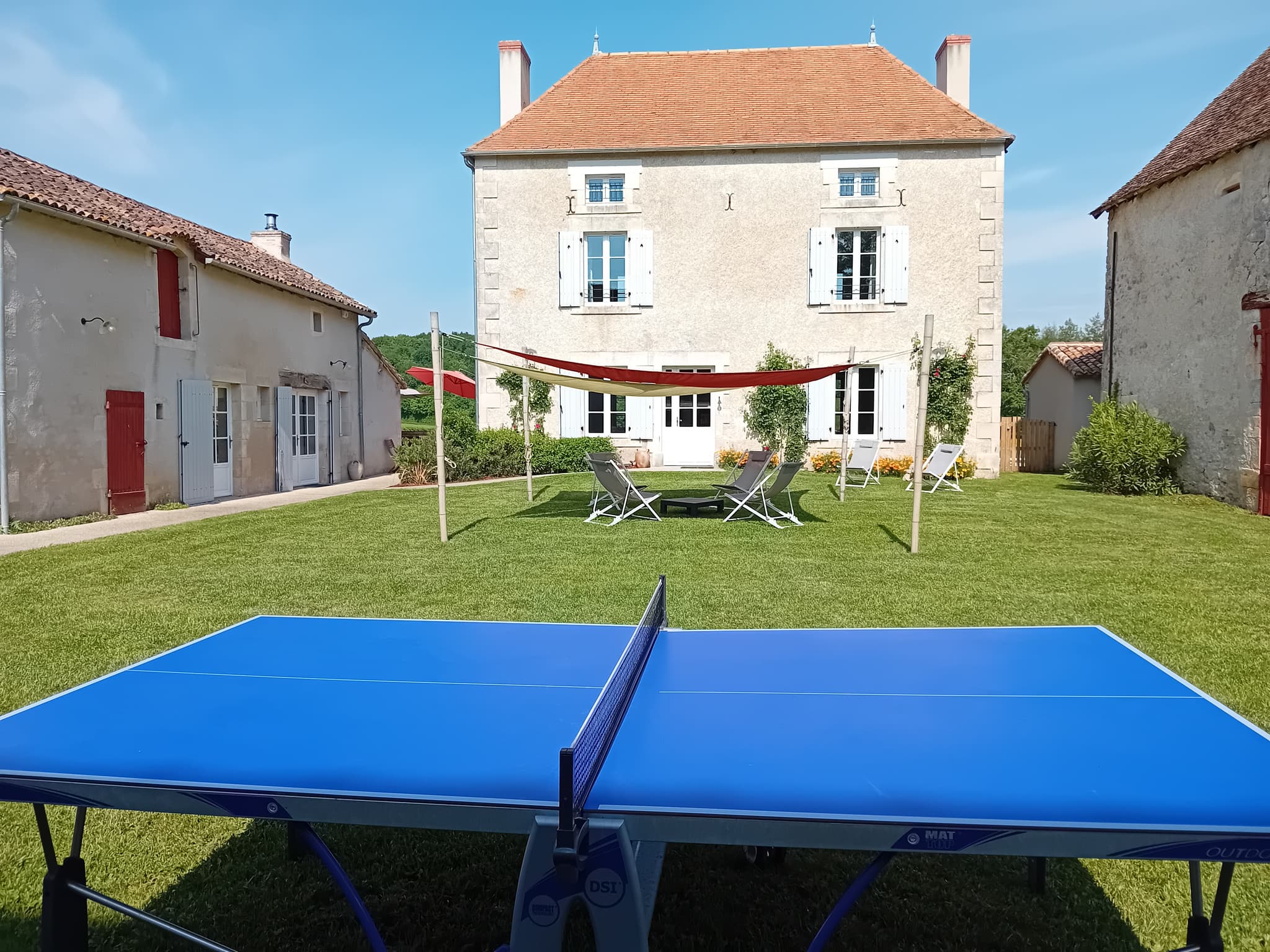 Ping Pong