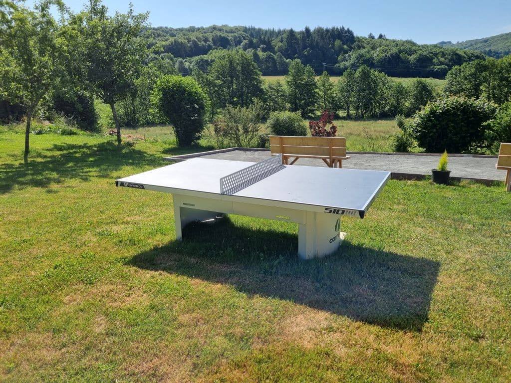 Ping-pong