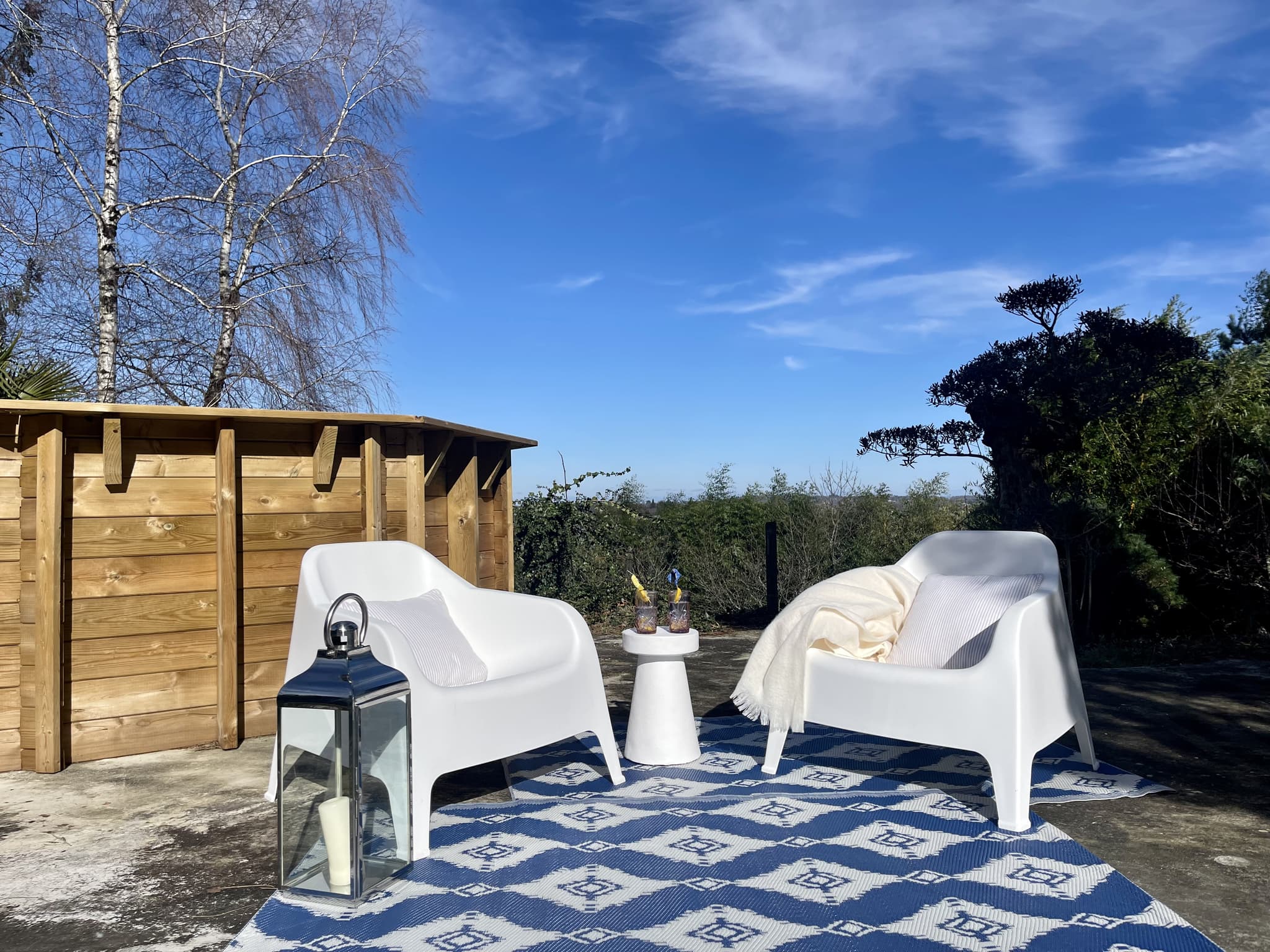 Piscine + terrasse