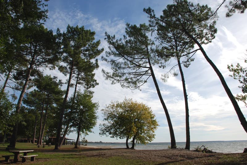 Plage de Laouga