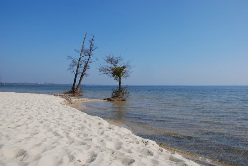 Plage de Laouga